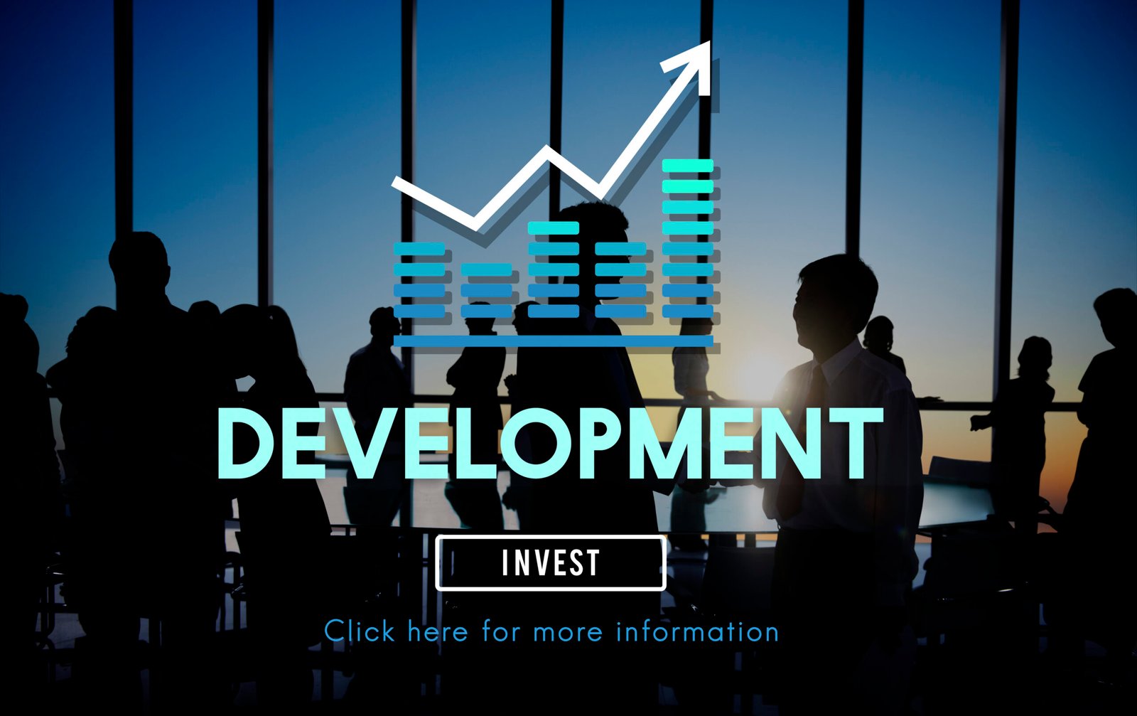 web developer